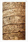 Trajan's column by Stuart Cox