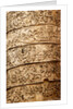 Trajan's column by Stuart Cox
