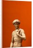David by Stuart Cox