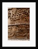 Trajan's column by Stuart Cox