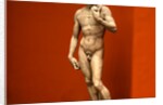 David by Stuart Cox