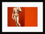 David by Stuart Cox