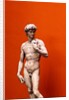 David by Stuart Cox