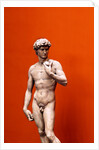 David by Stuart Cox