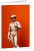 David by Stuart Cox