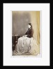 Maggie Dodgson by Lewis Carroll
