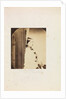Charlotte Mary Dodgson by Lewis Carroll
