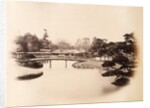 Part of a tycoon's garden at Edo (Tokyo) by Felice Beato