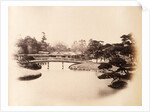 Part of a tycoon's garden at Edo (Tokyo) by Felice Beato