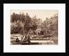 Garden at Omia by Felice Beato