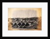 Chinese Sampans by Felice Beato