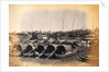 Chinese Sampans by Felice Beato
