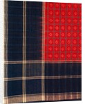 Ikat, detail by Anonymous