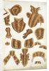 Suit of Armour Designs by Jacob Halder