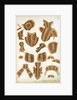 Suit of Armour Designs by Jacob Halder