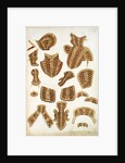 Suit of Armour Designs by Jacob Halder