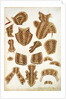 Suit of Armour Designs by Jacob Halder