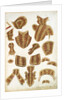 Suit of Armour Designs by Jacob Halder