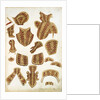 Suit of Armour Designs by Jacob Halder