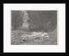 Nymph Asleep by Fred Holland Day