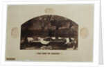 The Lady of Shalott by Henry Peach Robinson