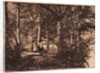 Two women in the woods by Henry Peach Robinson