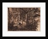 Two women in the woods by Henry Peach Robinson