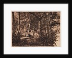 Two women in the woods by Henry Peach Robinson