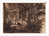 Two women in the woods by Henry Peach Robinson