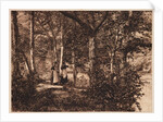 Two women in the woods by Henry Peach Robinson