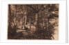 Two women in the woods by Henry Peach Robinson