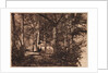 Two women in the woods by Henry Peach Robinson