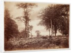 Landscape by Henry Peach Robinson