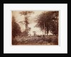 Landscape by Henry Peach Robinson