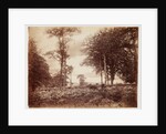 Landscape by Henry Peach Robinson