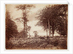 Landscape by Henry Peach Robinson