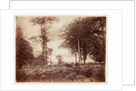 Landscape by Henry Peach Robinson