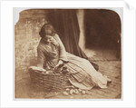 Girl with wicker basket of vegetables by Henry Peach Robinson