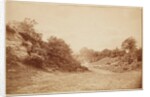 Culverdon Down by Henry Peach Robinson