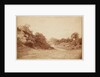 Culverdon Down by Henry Peach Robinson