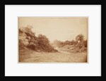 Culverdon Down by Henry Peach Robinson