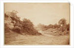 Culverdon Down by Henry Peach Robinson