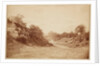 Culverdon Down by Henry Peach Robinson