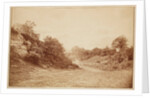 Culverdon Down by Henry Peach Robinson