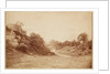 Culverdon Down by Henry Peach Robinson
