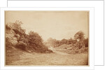 Culverdon Down by Henry Peach Robinson