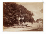 The Haycart by Henry Peach Robinson