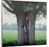 The Dryad by John Cimon Warburg