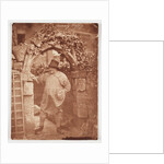 Barnaby Happy by Oscar Gustav Rejlander