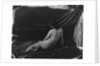 Reclining Female Nude by Dorsal
